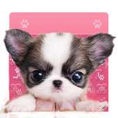 Lovely Teacup Dog Keyboard on 9Apps