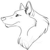 White Board Drawing icon