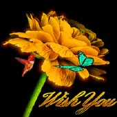 Bird Flower Live Wallpaper icon