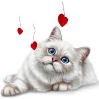 Cats stickers for Chat - WAStickerApps on 9Apps