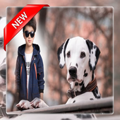 Dog photo frame icon
