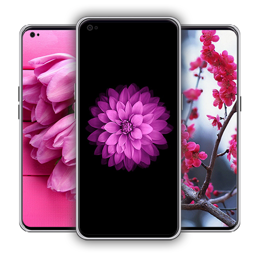 Flowers Clock Wallpaper icon