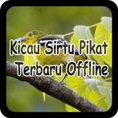 Kicau Sirtu Pikat Terbaru Offline