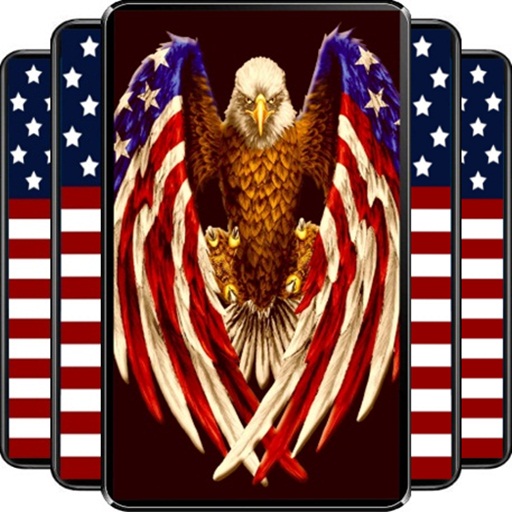 America Flag Wallpaper icon