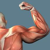 Тренировка рук иконка