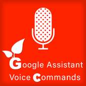 Ok Google Voice Commands for Google Assistant on 9Apps