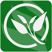 Ayurvedic Upchar أيقونة