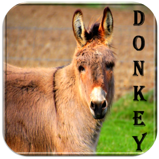 Donkey sounds icon