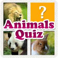 Animals Quiz & Infos