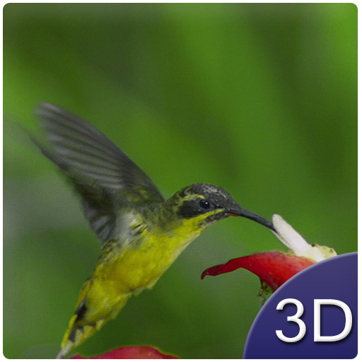 Flying Birds 3D icon