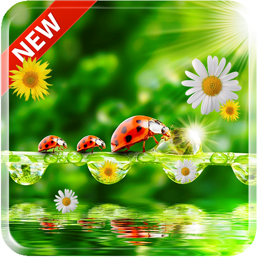 Ladybug 3D Live Wallpaper icon