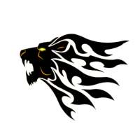 Dark Lion VPN - Fast, Secure, Free VPN Proxy on 9Apps