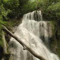 Waterfall in greenery