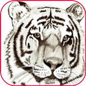 How to Draw Animal icon