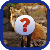 Animal Quiz icon