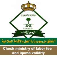 MOI KSA E Services (Without Absher) on 9Apps