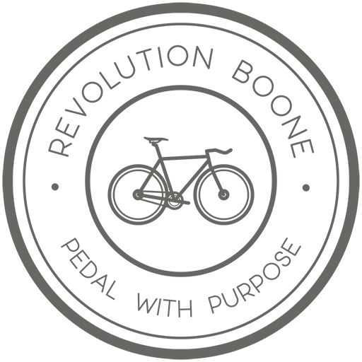 Revolution Boone icon