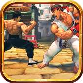 Karate Kick Fighting: Tiger Fighters