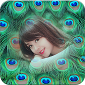 Peacock Feathers Photo Frames icon