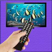 Smart TV Remote Control Prank