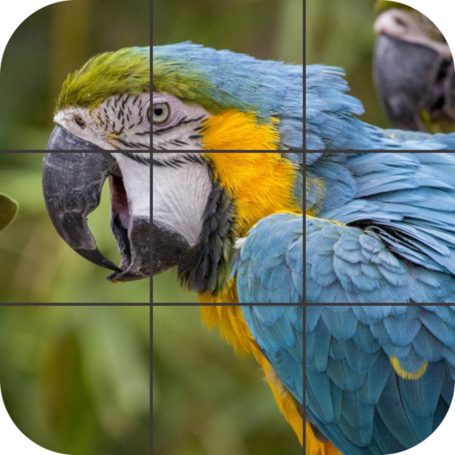 Birds Jigsaw Puzzle icon
