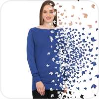 Particle Dispersion Effect