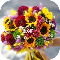 Lindos buquês de rosas : GIF on 9Apps