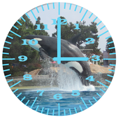 Killer Whale 2 Analog Clock icon