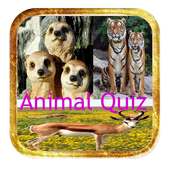 Animal Quiz