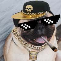 Thug Life Picture Editor on 9Apps