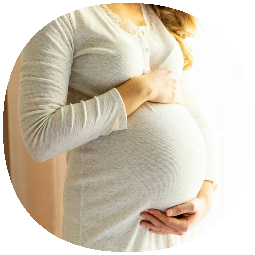 Third Trimester Pregnancy Day by Day Guide icon