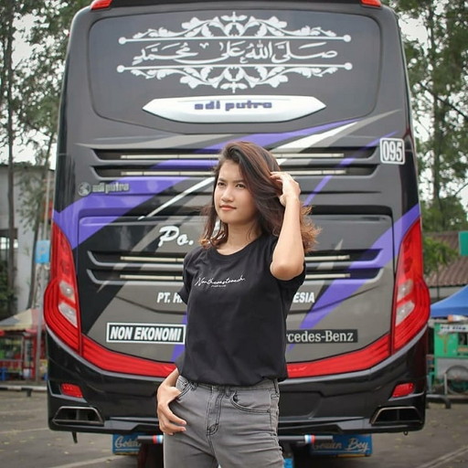 Wallpaper Bus Indonesia icon