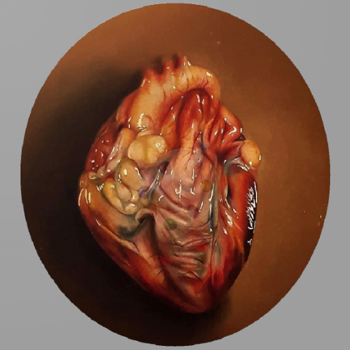 cardiologie adulte icon