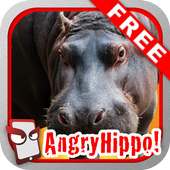 Angry Hippo Free!