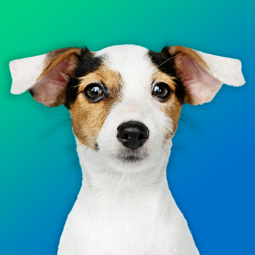 Dog Quiz: Guess the Breed — Game, Pictures, Test icon