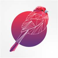 LollyPoly - Low poly art puzzle game on 9Apps