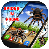 3D Spider in Phone prank icon