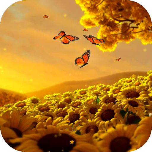 Video Wallpapers: Sunflowers HD icon