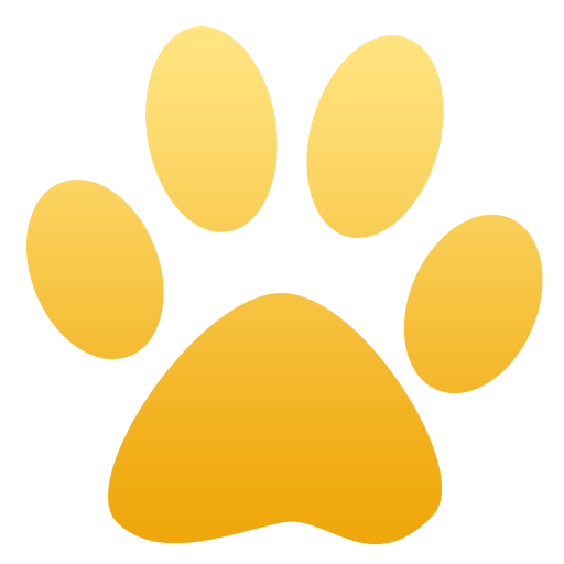 Solve Expressions icon