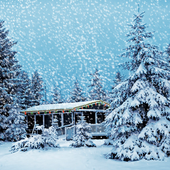 Snow Fall Live Wallpaper icon
