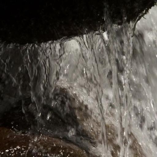 Aquatic wall live wallpaper icon