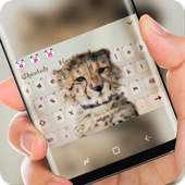 Cute Cheetah Keyboad Theme