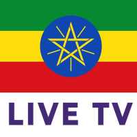 LIVE TV
