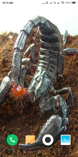 Scorpion Wallpaper screenshot 10