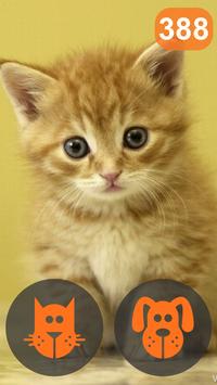 Cat or Dog screenshot 1