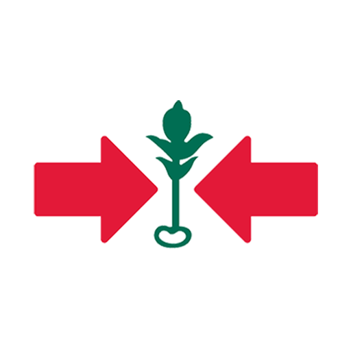 EWS KT Data System icon