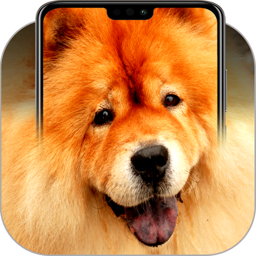 Chow Chow Wallpapers icon