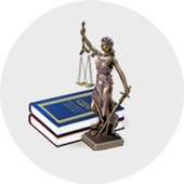 Асосҳои давлат ва ҳуқуқ-2017 icon