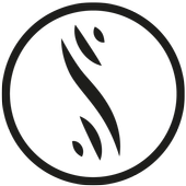 Slang Playground icon