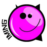 IMING - Ultimate VPN Lite 2020